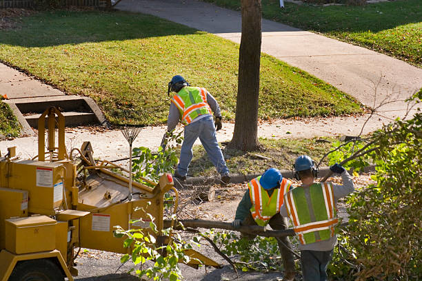Best Pest Control for Lawns  in Muenster, TX
